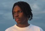 Fireboy DML - Laughter Tears And Goosebumps Album