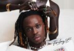 Fireboy DML - Playboy [Full Album]