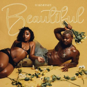 Harmonize - Beautiful
