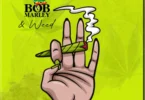 Kidowat Jay ft Posse Lemese - Bob Marley & Weed