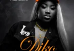 Obaa Kumson - Diko