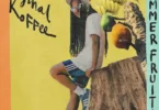 Original Koffee - Summer Fruits (Na Na)