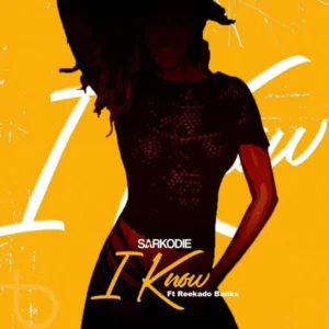 Sarkodie & Reekado Banks - I Know