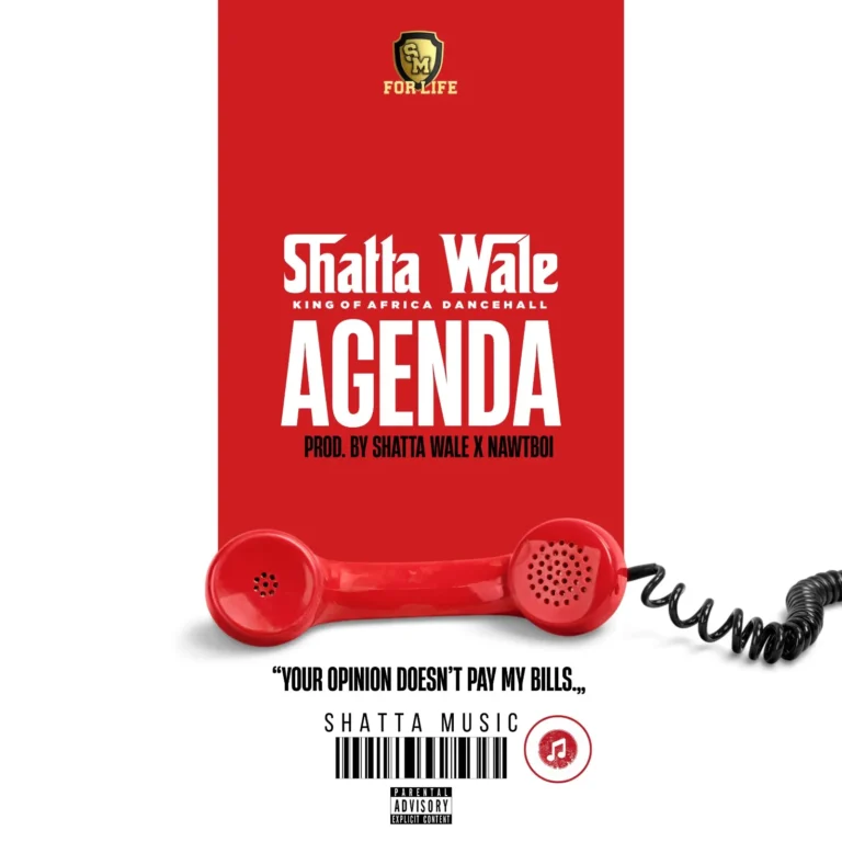 Shatta Wale - Agenda