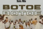 Shatta Wale - Botoe