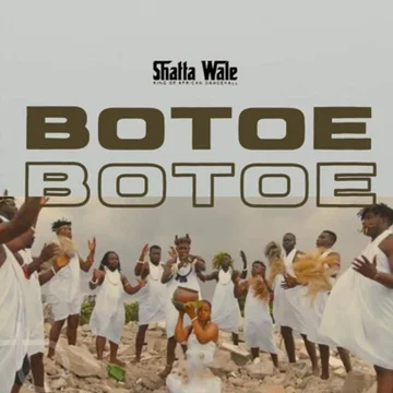 Shatta Wale - Botoe