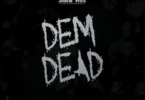 Shatta Wale - Dem Dead