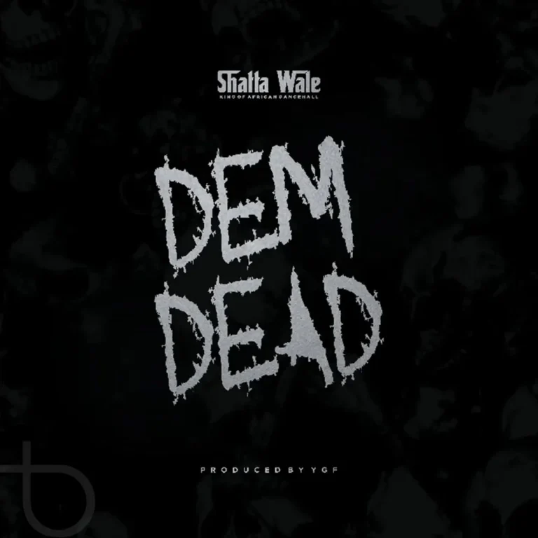 Shatta Wale - Dem Dead