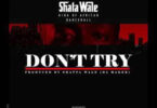 Shatta Wale - Don't Try