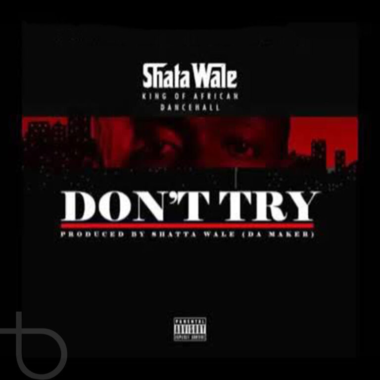 Shatta Wale - Don't Try