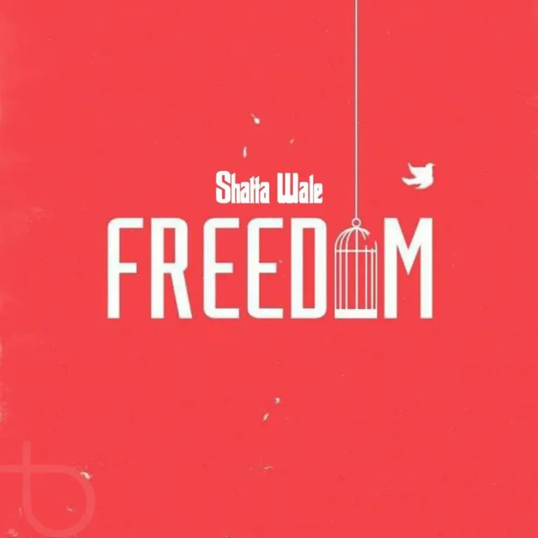 Shatta Wale - Freedom