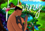 Shatta Wale - Horny