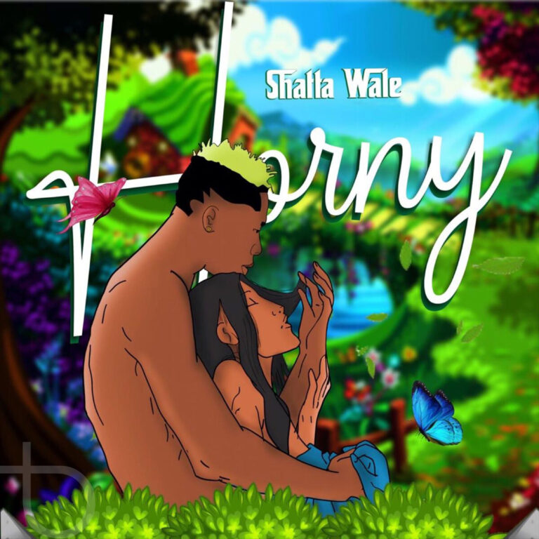 Shatta Wale - Horny