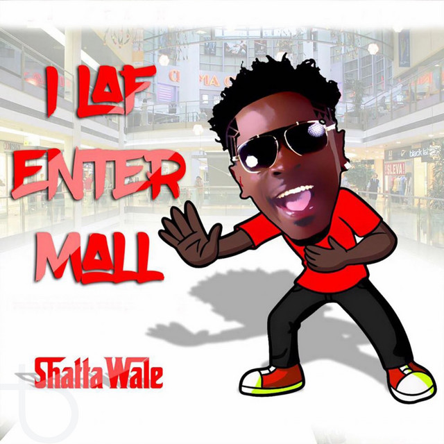 Shatta Wale - I Laf Enter Mall