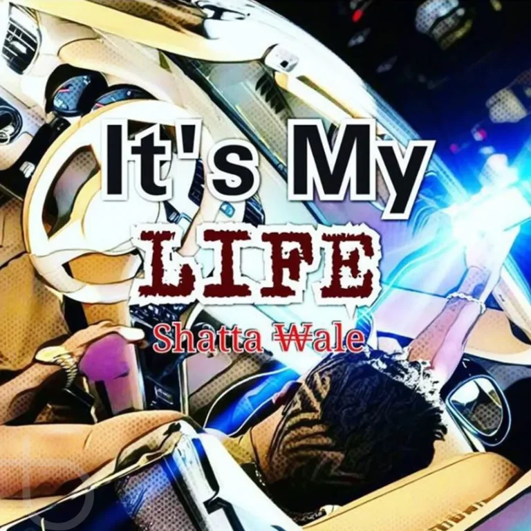 Shatta Wale - It's My Life Ft Sarkodie
