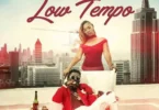 Shatta Wale - Low Tempo Ft Shatta Michy