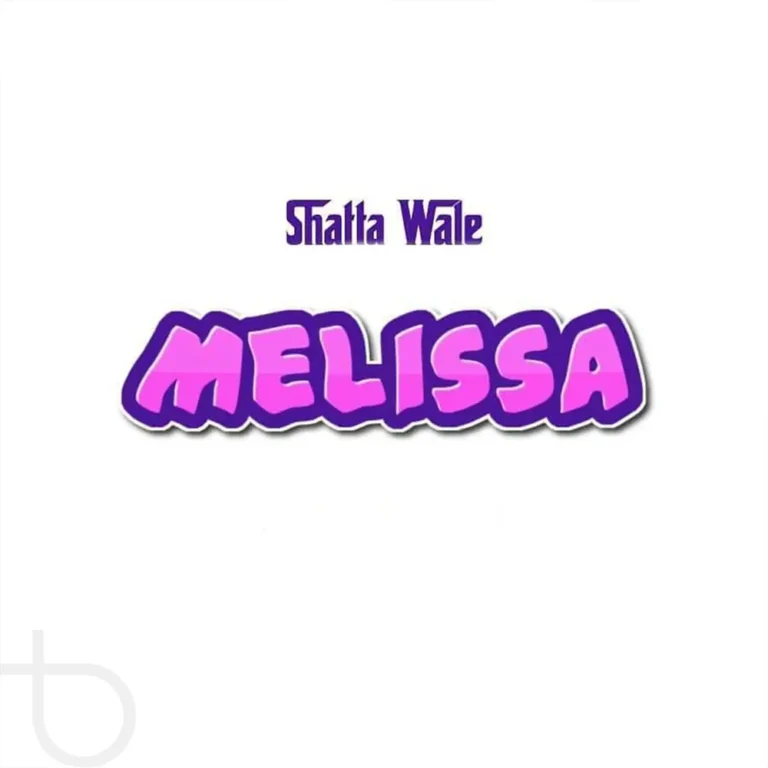 Shatta Wale - Melissa