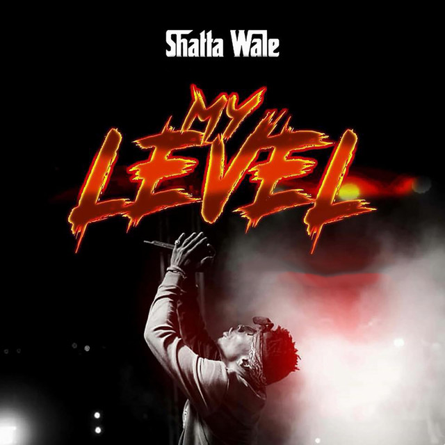 Shatta Wale - My Level