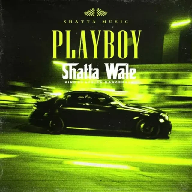Shatta Wale - Playboy