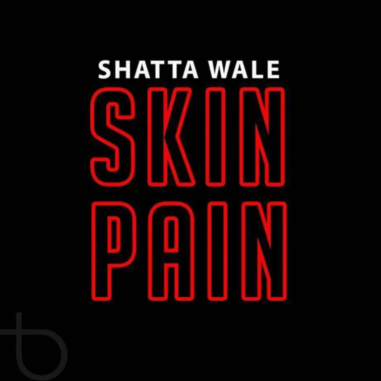 Shatta Wale - Skin Pain