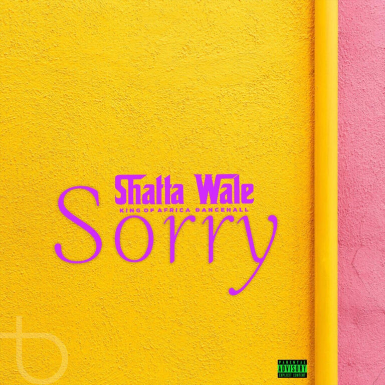 Shatta Wale - Sorry