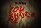 Shatta Wale - You Shock Me
