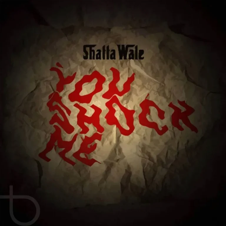 Shatta Wale - You Shock Me