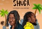Stonebwoy - Shuga ft. Beenie Man