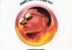 Wizkid - Sounds From the Other Side [Full Album]