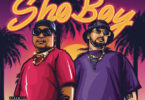 Venom & Shishiliza - Sho Boy ft Riky Rick, Junior Taurus, Buzzi Lee, Yanga Chief, Beast Rsa, Focalistic, Blxckie & 25K