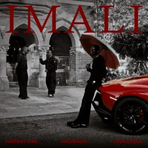 Fireboy Dml – Imali ft Jazzwrld & Thukuthela
