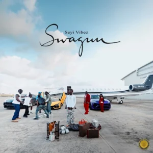 Seyi Vibez – Swaguu Album