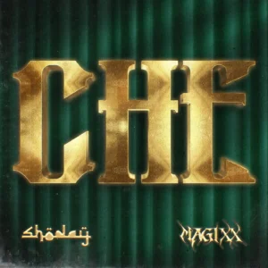 Shoday - CHE Ft Magixx