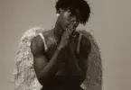 AratheJay - Wings Cover