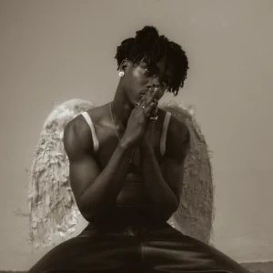 AratheJay - Wings Cover