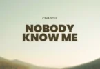 Cina Soul - Nobody Know Me