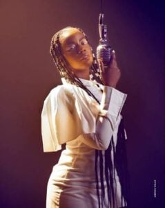 MzVee Enjoyment MP3 download single cover