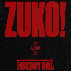 Download Fighting by Fireboy DML Mp3