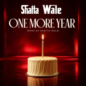 One More Year by Shatta Wale